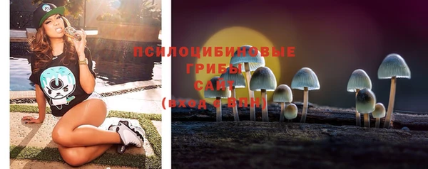 крисы Елизово