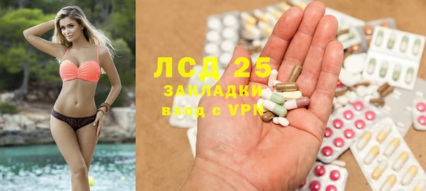 прущие грибы Сосновоборск