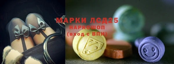 ALPHA PVP Ельня