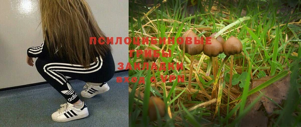 ALPHA PVP Ельня