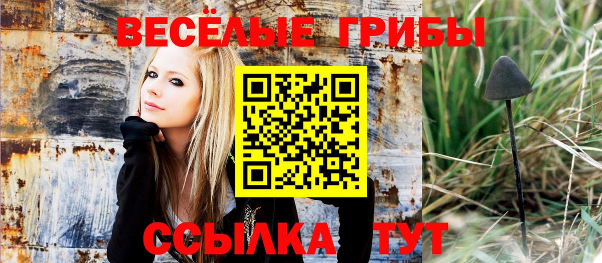 Похвистнево  купить наркоту  Вход с VPN  Псилоцибиновые грибы ЛСД 