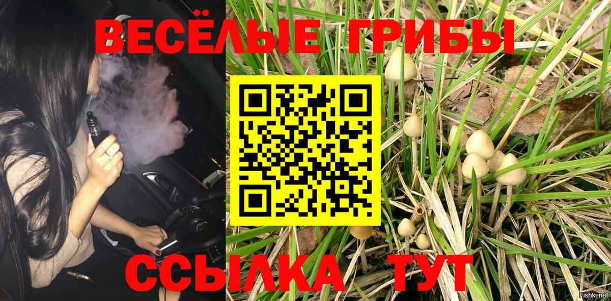 Галлюциногенные грибы ЛСД Похвистнево
